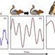 Illustration for article titled Small animals perceive the world in slow-motion